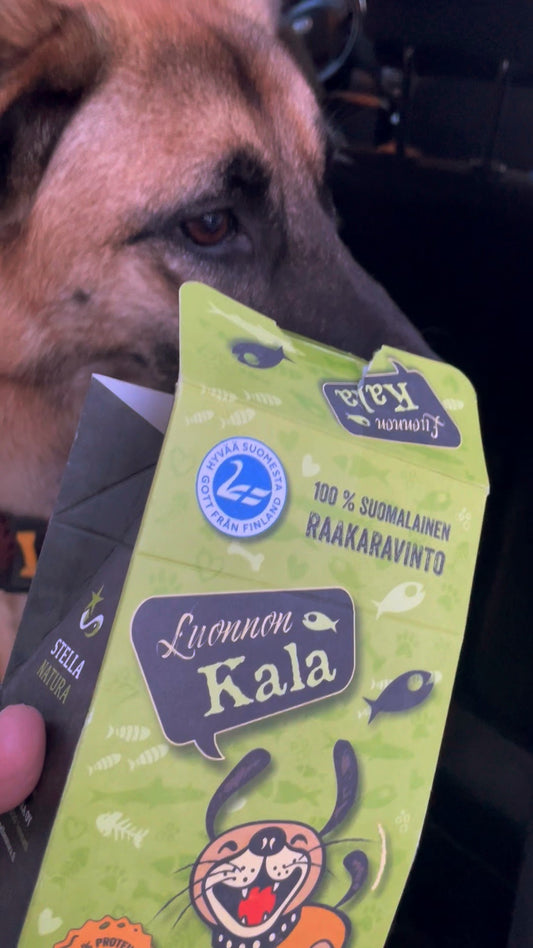 Stella Natura Luonnon kala 150g
